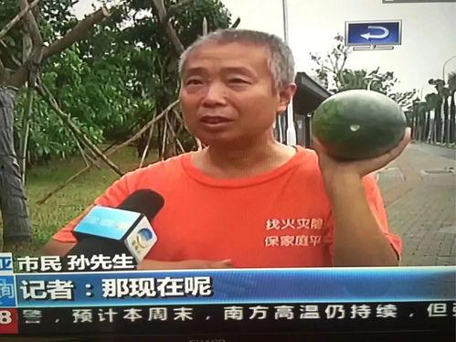 今日热门吃瓜事件是真的吗,真相揭秘还是网络谣言？